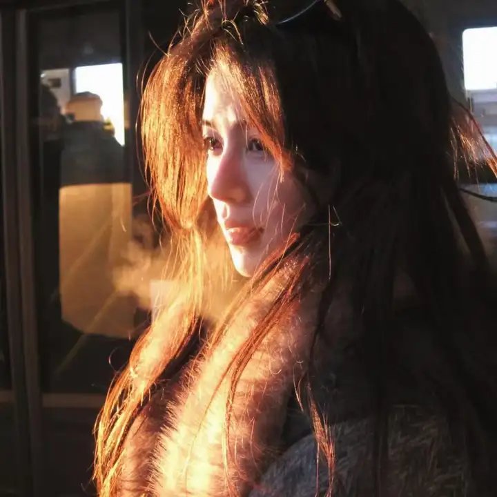崔弟的高飞冒险